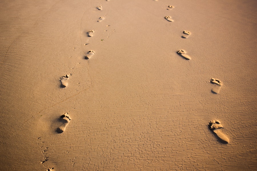Carbon Footprints
