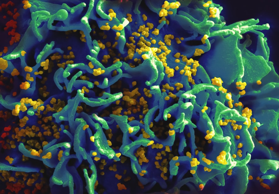 Synthetic Biology