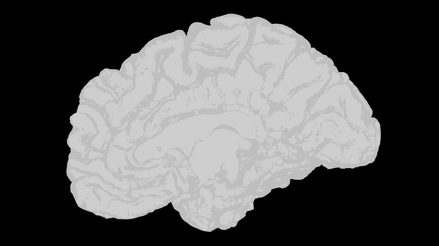 Photo Brain-Computer Interfaces
