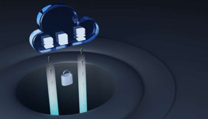 Photo Privacy and Data Governance