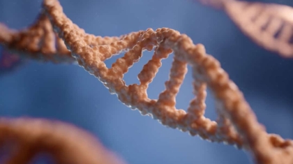 Photo Synthetic Biology Innovations