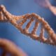 Photo Synthetic Biology Innovations