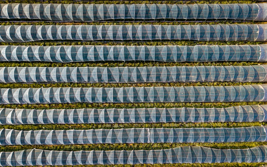 Photo Precision Agriculture