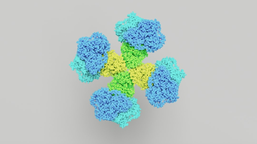 Photo DNA Data Storage