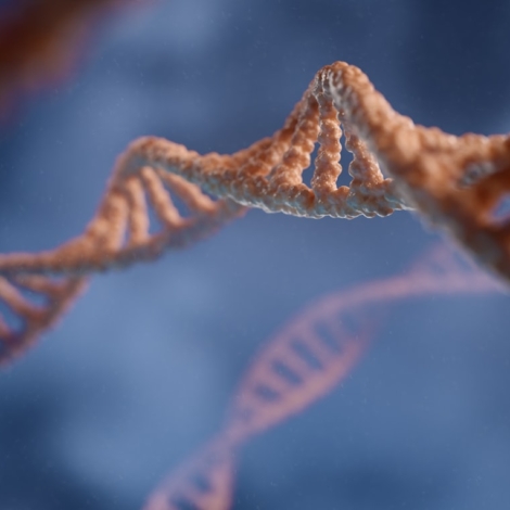 Home 64 Photo Synthetic Biology