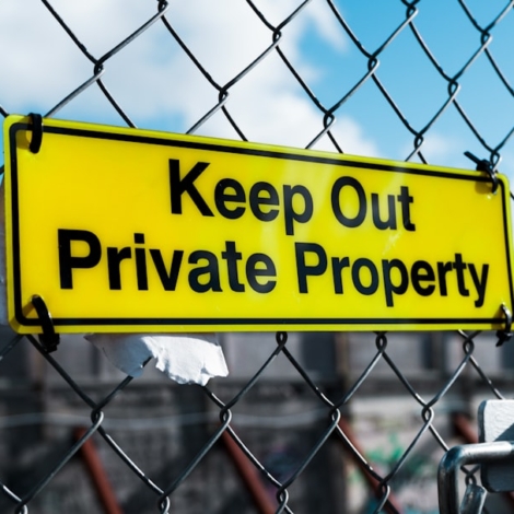 Photo Intellectual Property