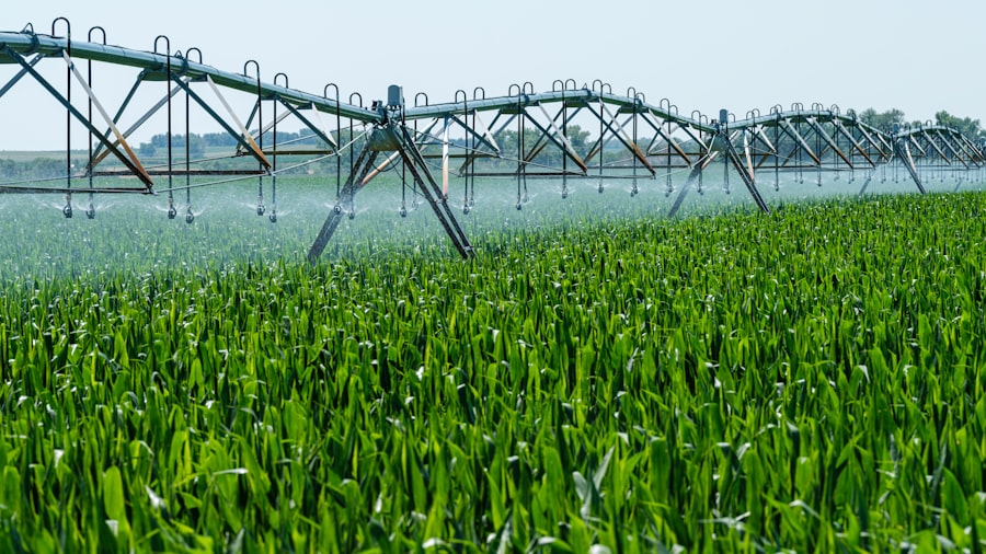 Photo Sustainable Agriculture Systems