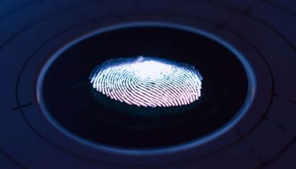 Photo Biometric Data Theft