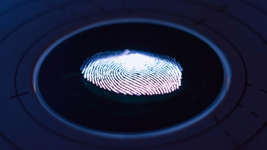 Photo Biometric Data Theft