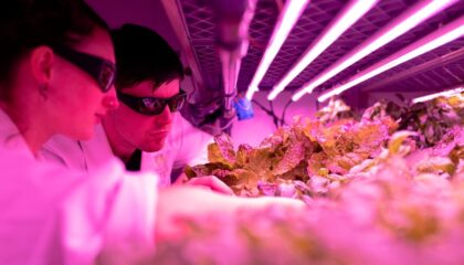 Photo Vertical Farming Automation