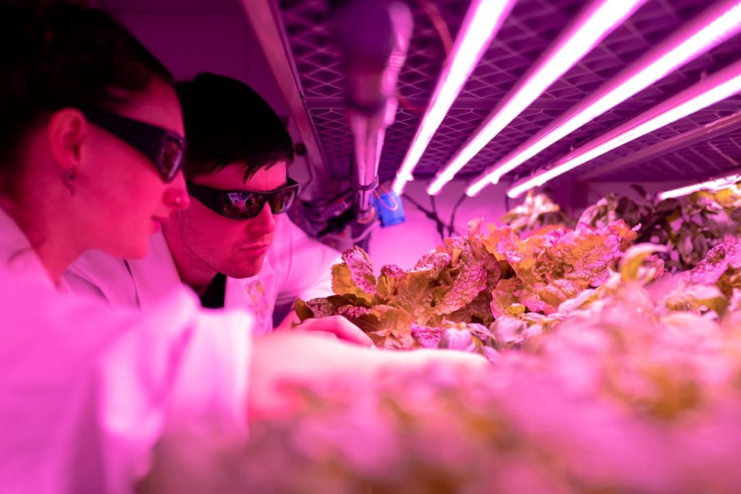 Photo Vertical Farming Automation