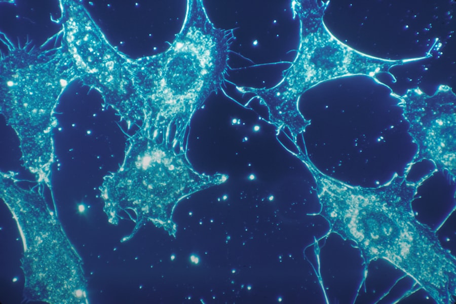 Photo Microbial Fuel Cells