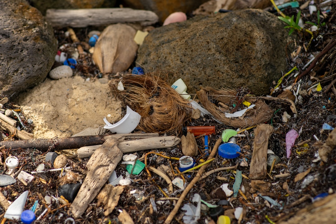 Photo Water Waste