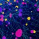 Photo Deep Learning Algorithms