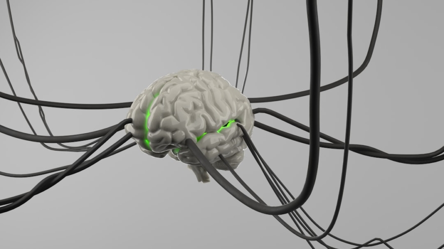 Photo Brain-Computer Interfaces