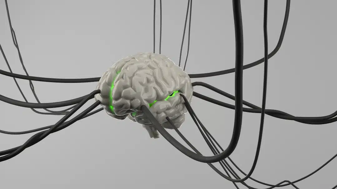 Photo Brain-Computer Interfaces