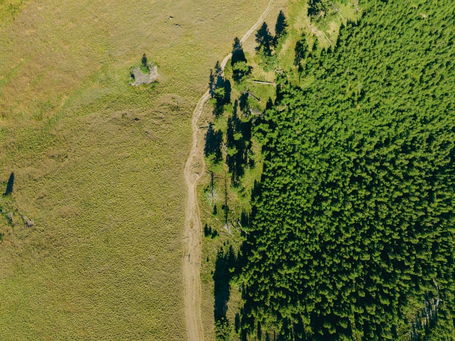 Photo Carbon Footprints