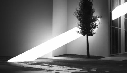 Photo Real-Time Ray Tracing