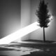 Photo Real-Time Ray Tracing