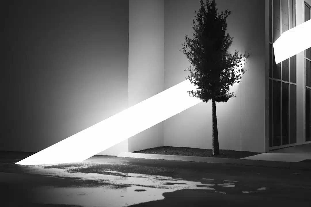 Photo Real-Time Ray Tracing