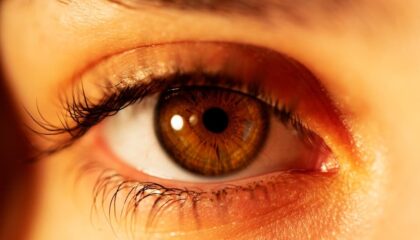 Photo Eyetracking