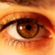 Photo Eyetracking