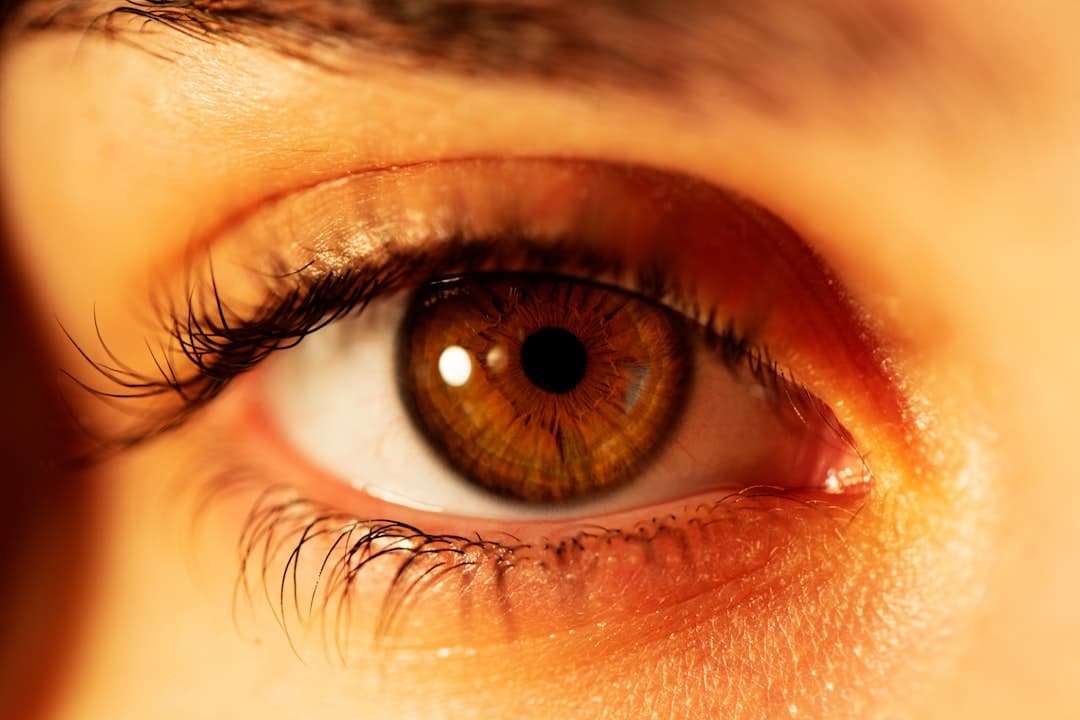 Photo Eyetracking