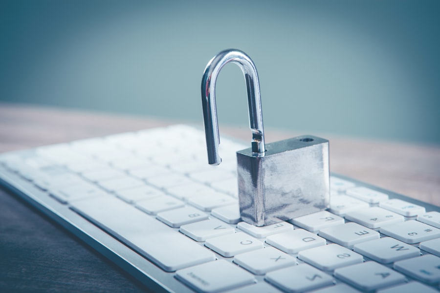 The Privacy Implications of Mandatory Digital Identity Frameworks 2 Photo Privacy Implications