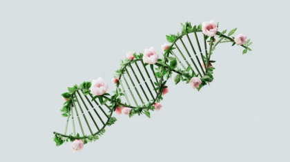 Photo Synthetic Biology