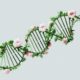 Photo Synthetic Biology