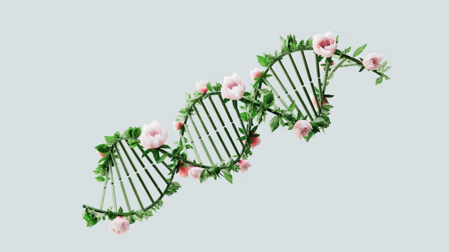 Photo Synthetic Biology