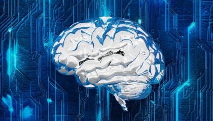 Photo Brain-Computer Interfaces