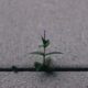Photo Resilience