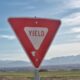 Photo Yield Farming Protocols