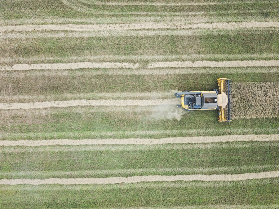Analyzing the Economic Sustainability of Yield Farming Protocols 2 Photo Yield Farming Protocols