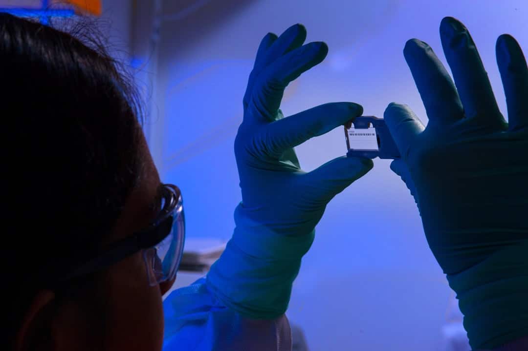 Photo Bioinformatics Careers