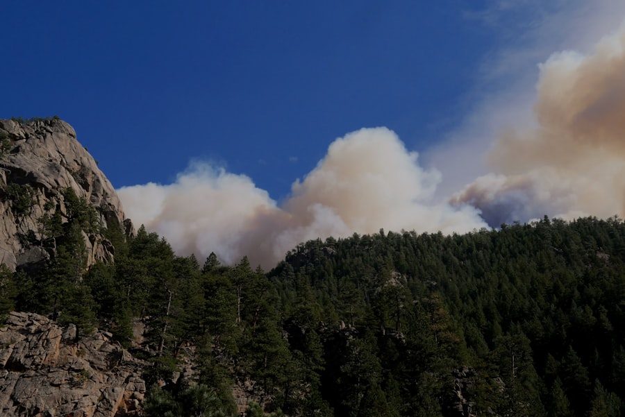 Drone Swarms Wildfires