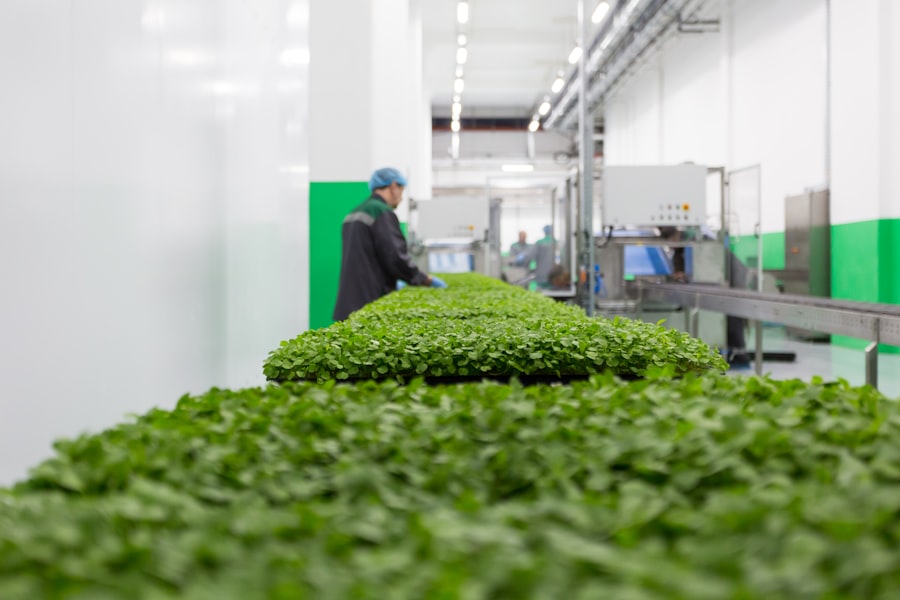 Vertical Farming Automation