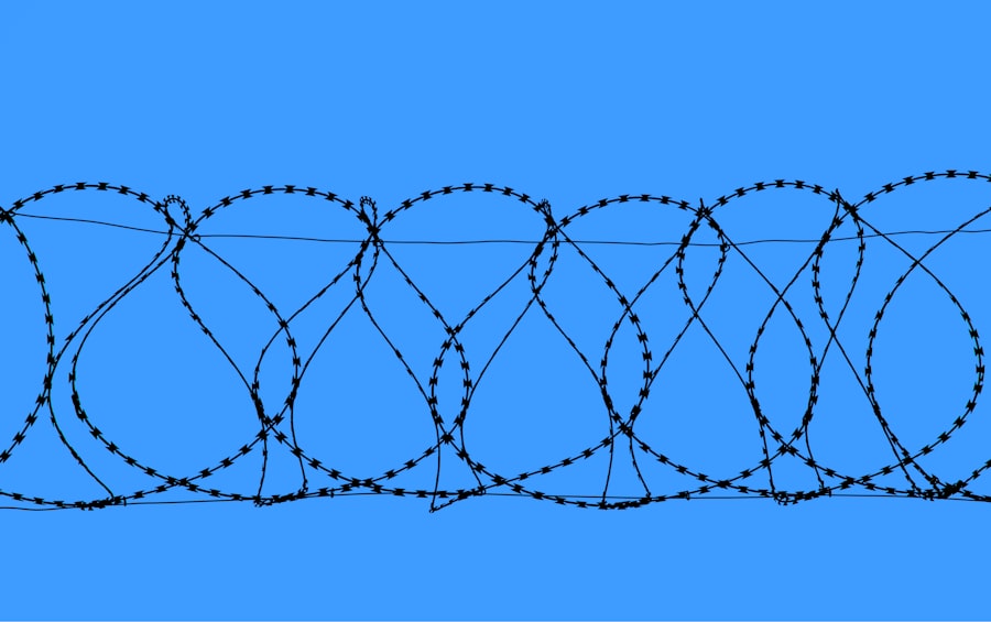 Feedback Loops