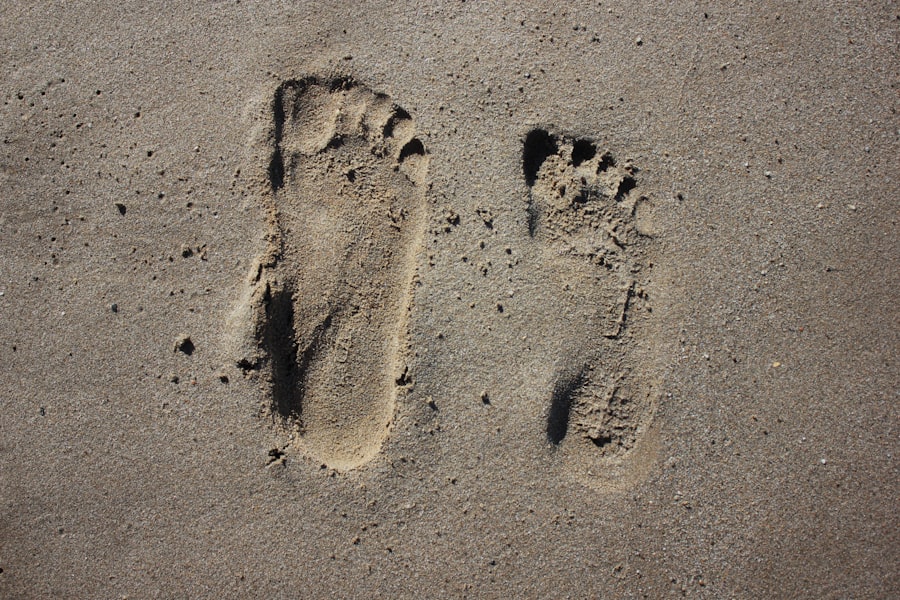 Website Carbon Footprints