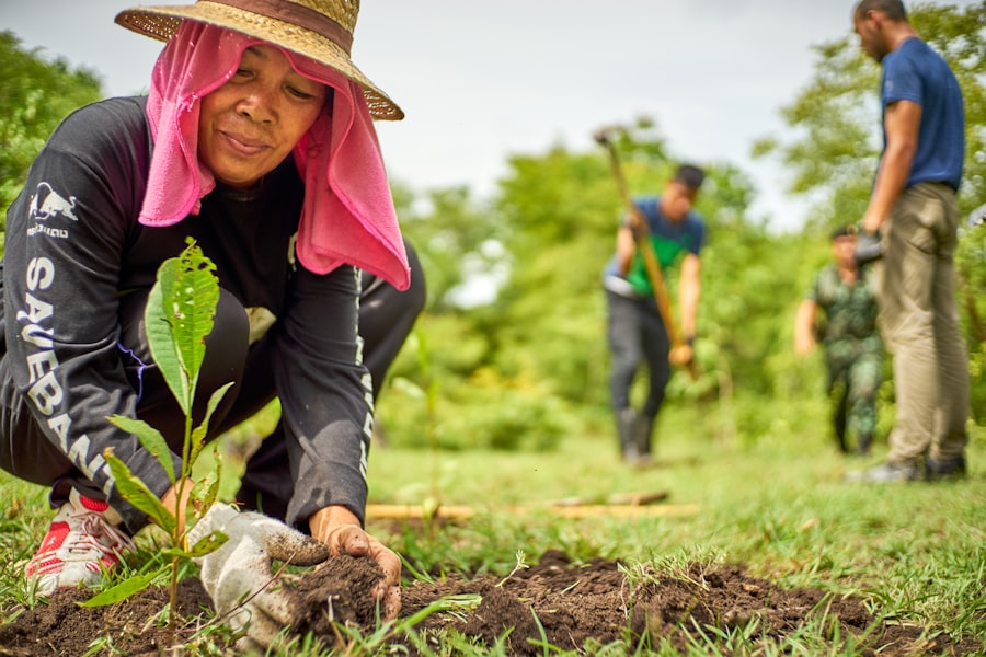Reforestation