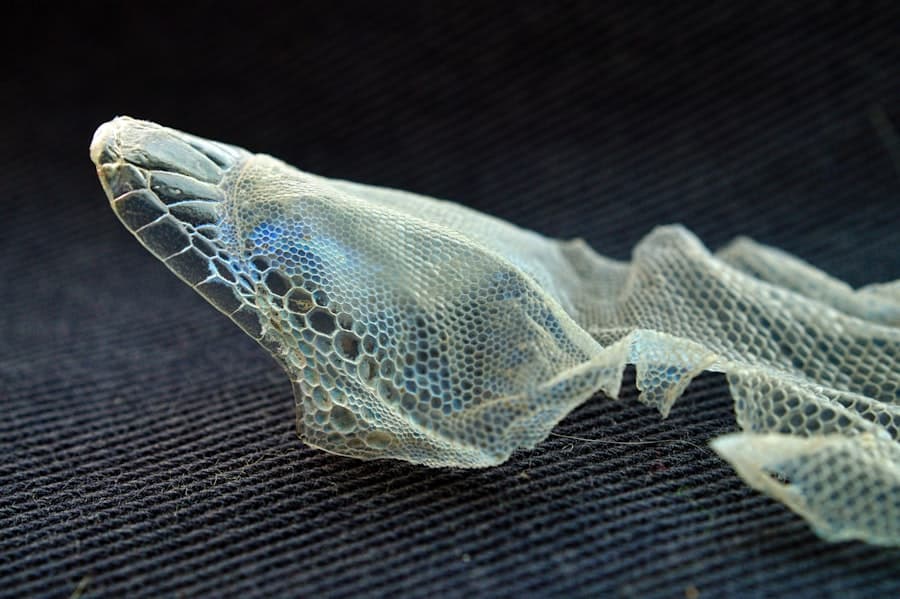 Biodegradable Magnesium Implants
