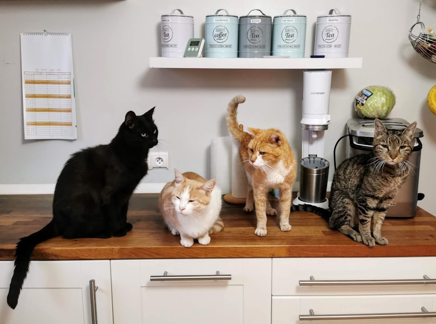 Smart Pet Feeder