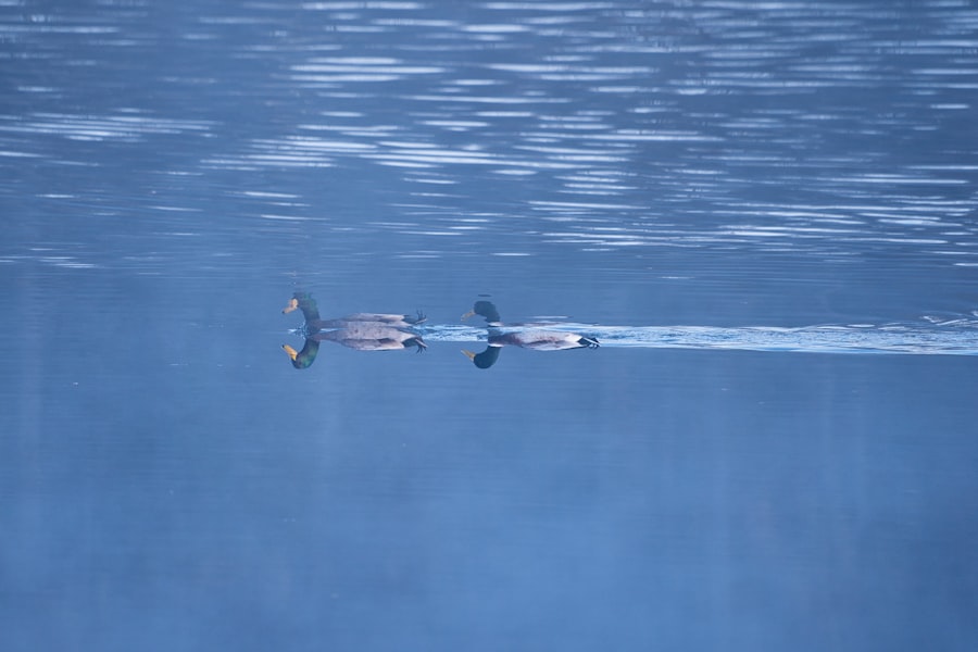 Autonomous Underwater Vehicles