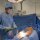 Photo Xenotransplantation