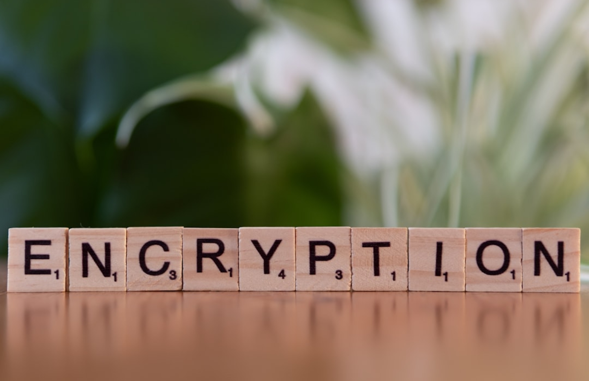 Photo Post-Quantum Cryptography