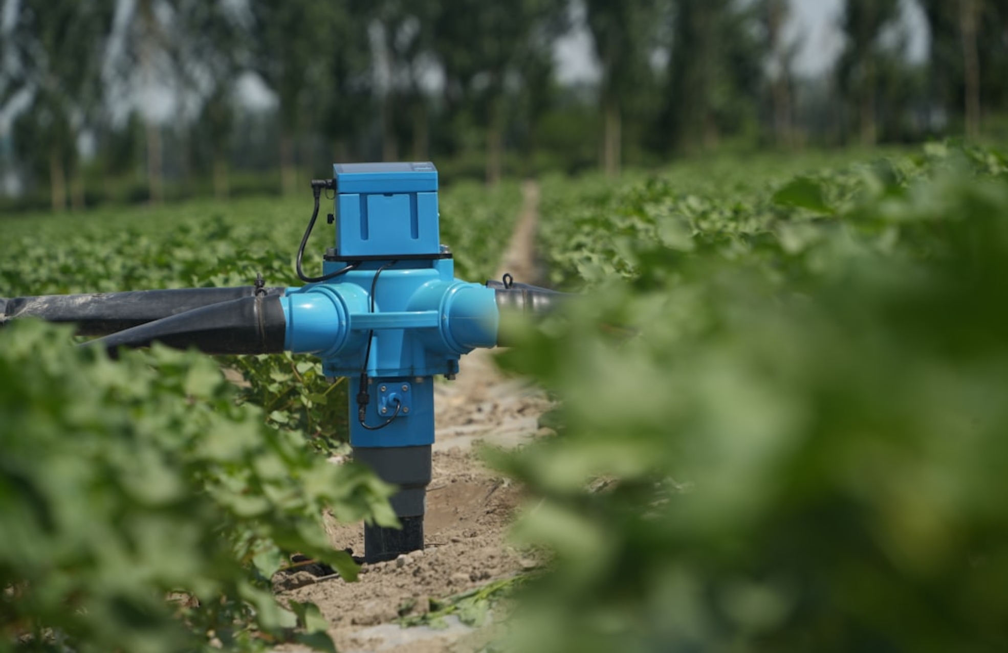 Photo Automated Water Leak Detection