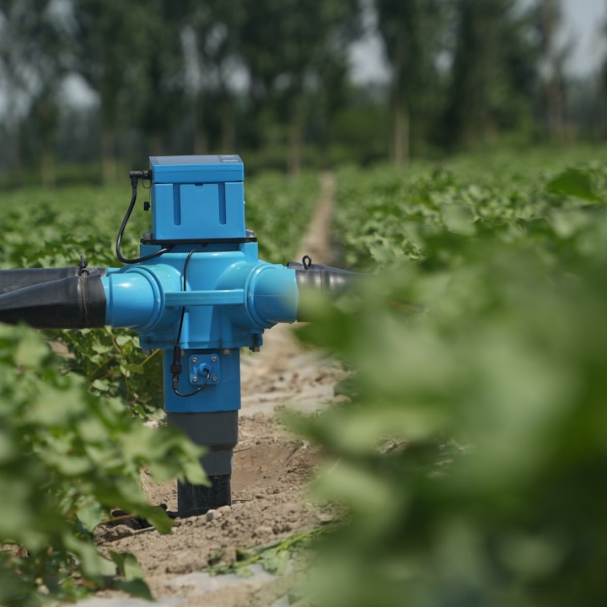 Photo Automated Water Leak Detection