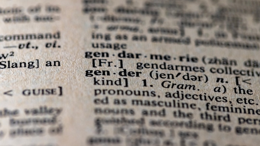Photo Real-Time Language Translation