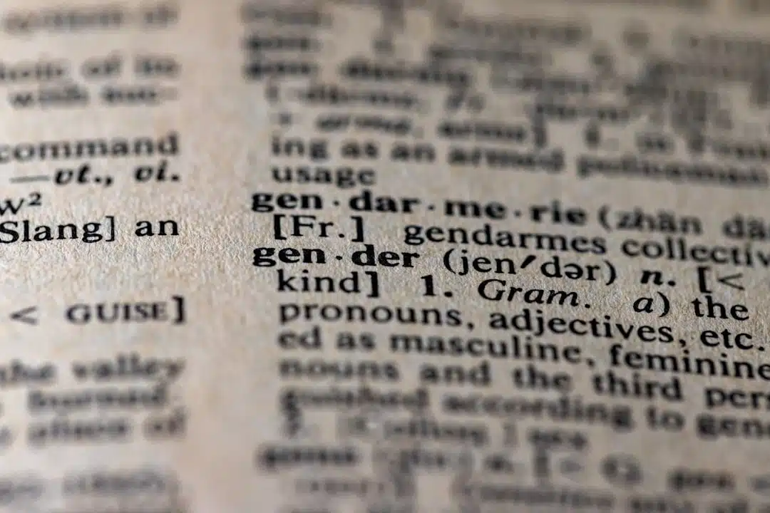 Photo Real-Time Language Translation